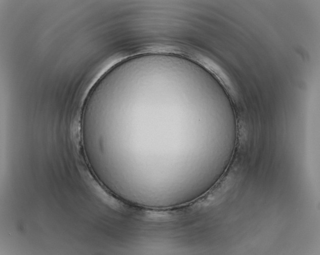 X0000114070852200910191520