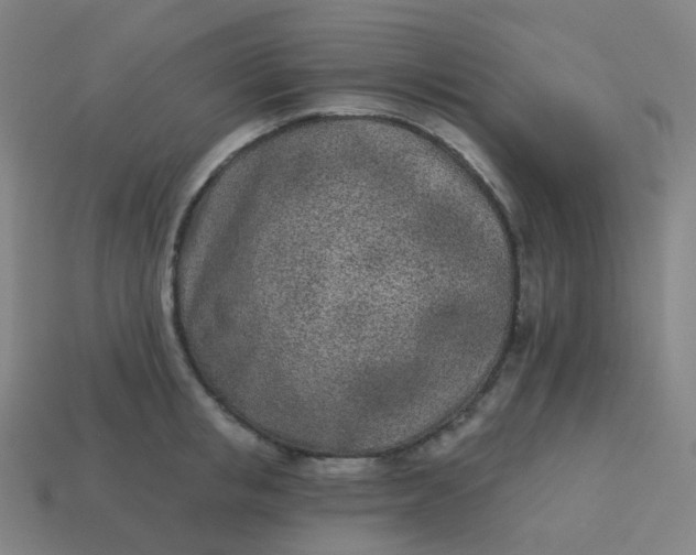 X0000114070853200910191520