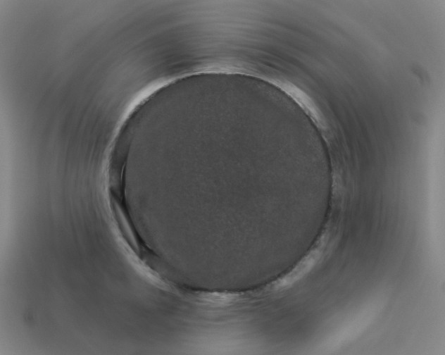 X0000114070854200910191520