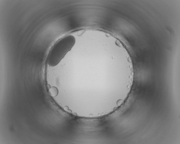 X0000114070856200910191520