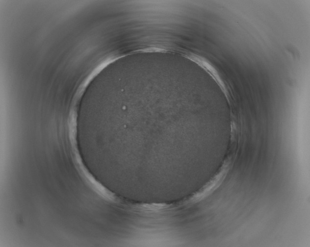 X0000114070859200910191520