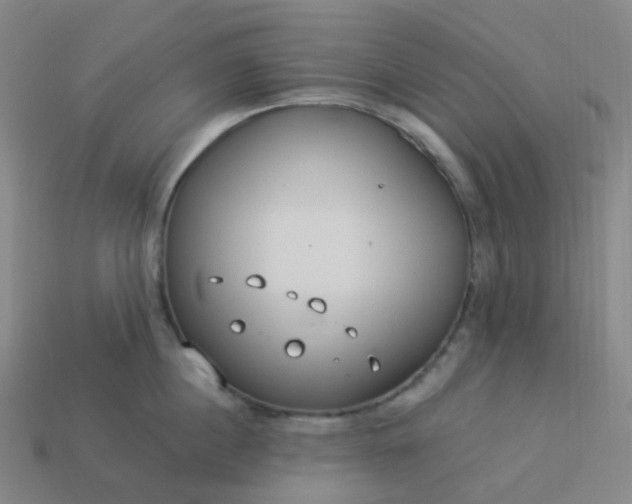 X0000114070860200910191520