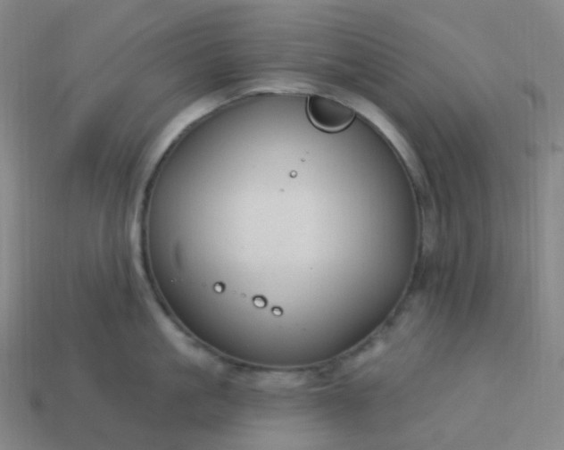 X0000114070861200910191520