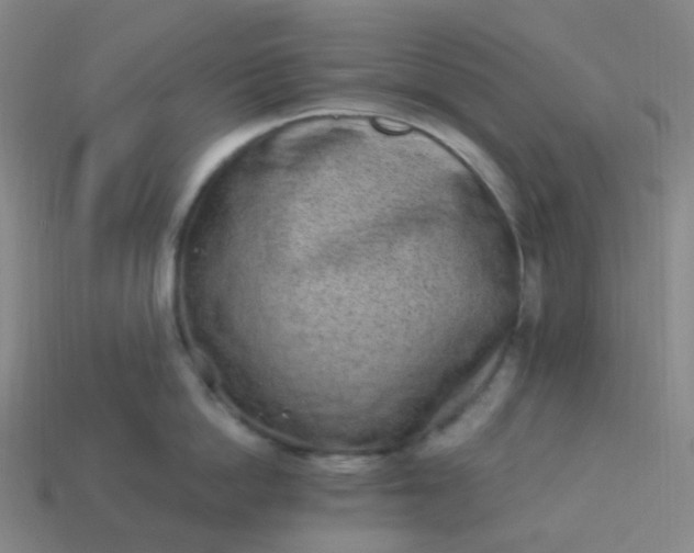 X0000114070862200910191520