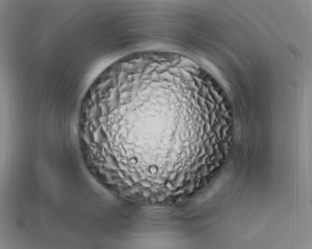 X0000114070863200910191521