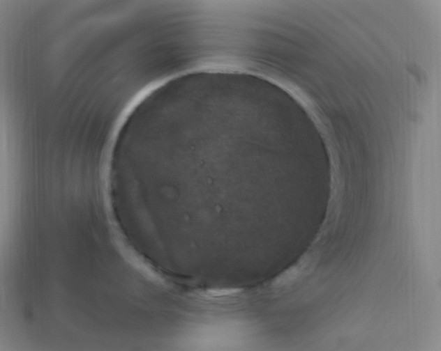 X0000114070864200910191521