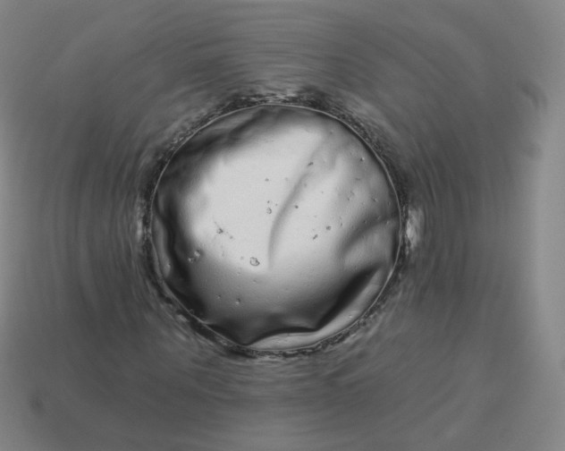 X0000114070867200910191520