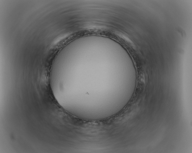 X0000114070869200910191520