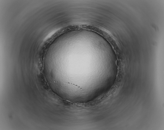 X0000114070871200910191520