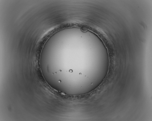 X0000114070872200910191520