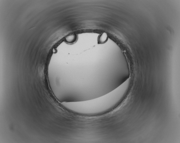 X0000114070873200910191520