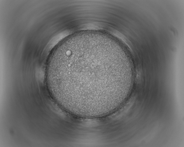 X0000114070874200910191520