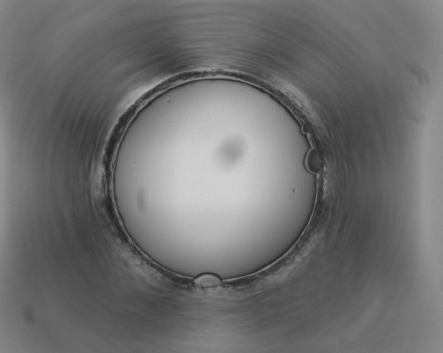 X0000114070876200910191520