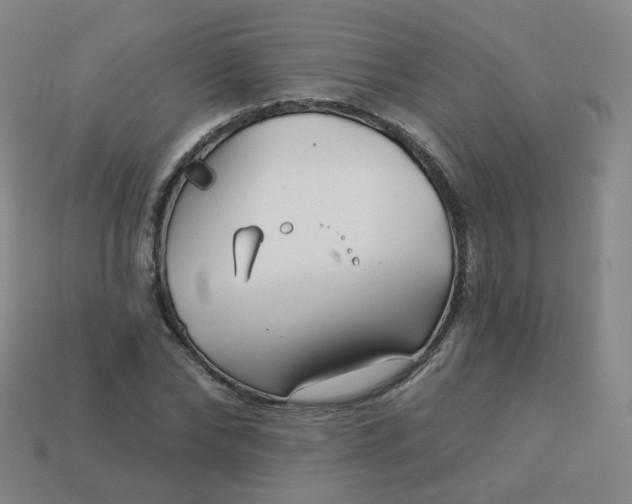 X0000114070878200910191520