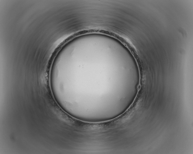 X0000114070879200910191520