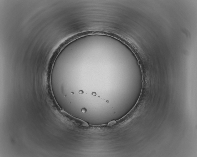 X0000114070880200910191520