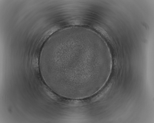 X0000114070881200910191520