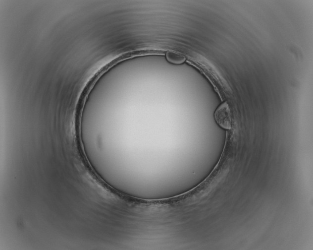 X0000114070884200910191520