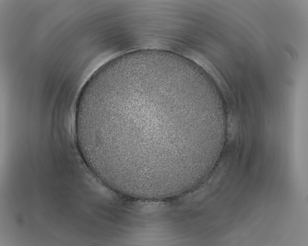 X0000114070886200910191520