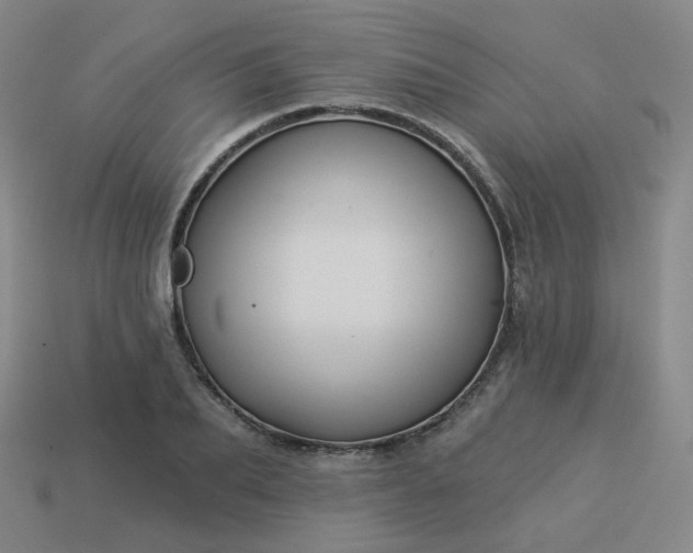 X0000114070887200910191520