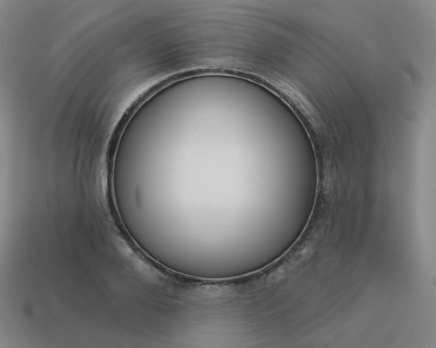 X0000114070888200910191520