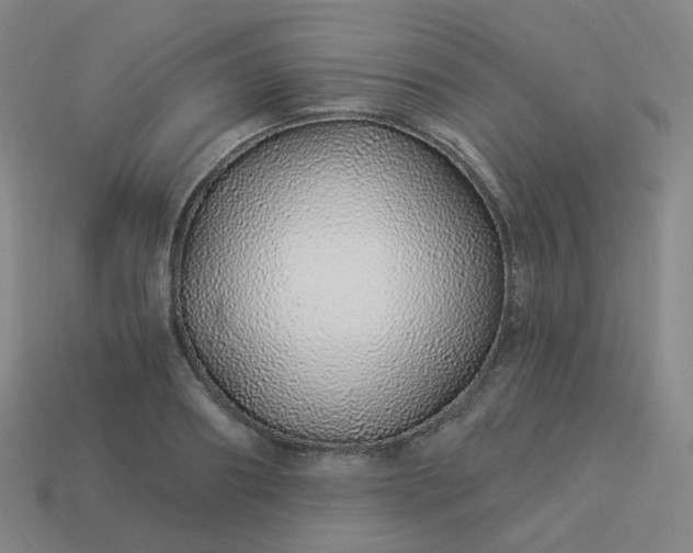 X0000114070890200910191520