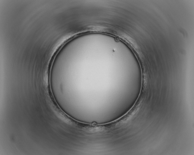 X0000114070891200910191520