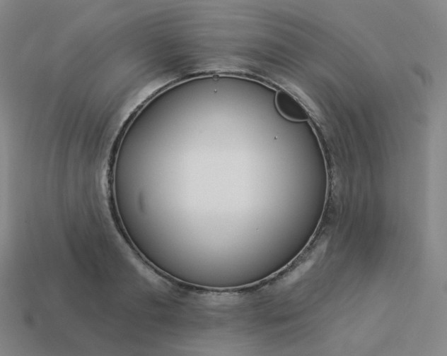 X0000114070893200910191520