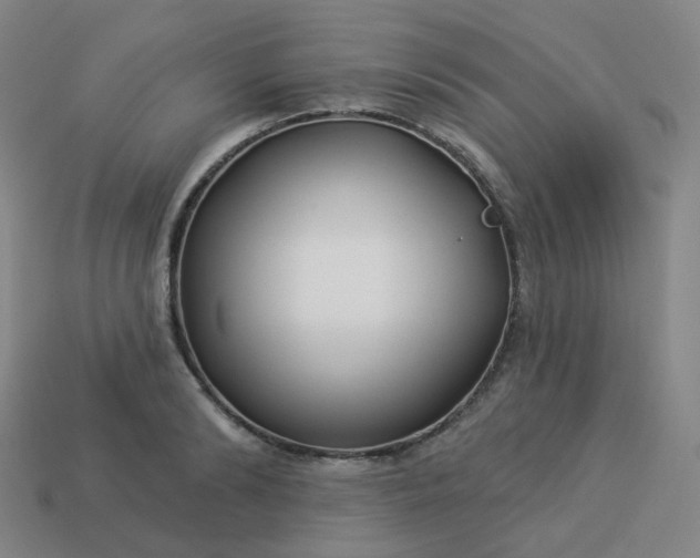 X0000114070894200910191520