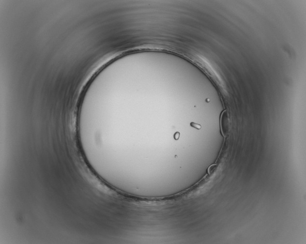 X0000114070900200910191519