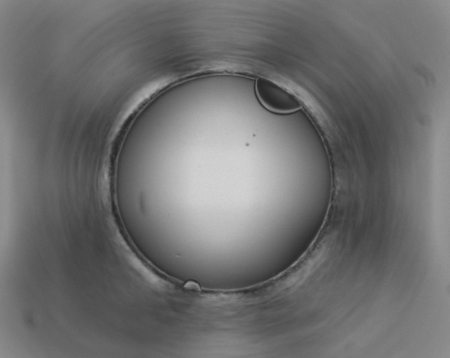 X0000114070902200910191519