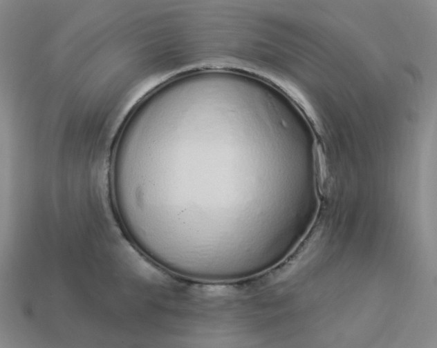 X0000114070903200910191519