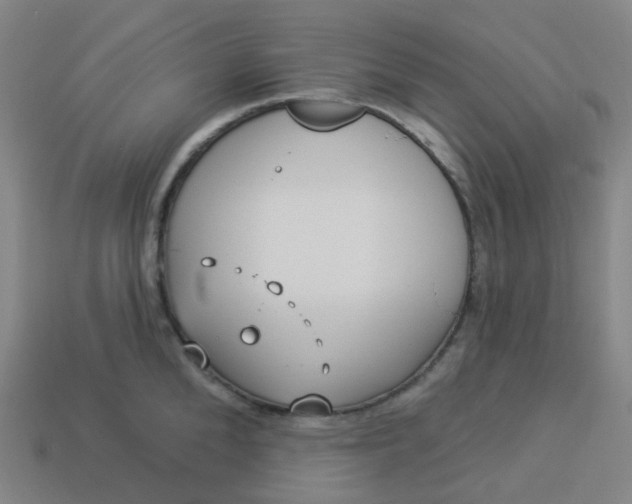 X0000114070904200910191519