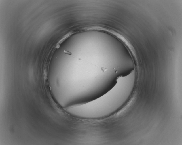 X0000114070905200910191519