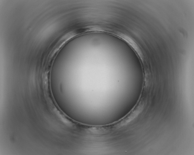 X0000114070906200910191519