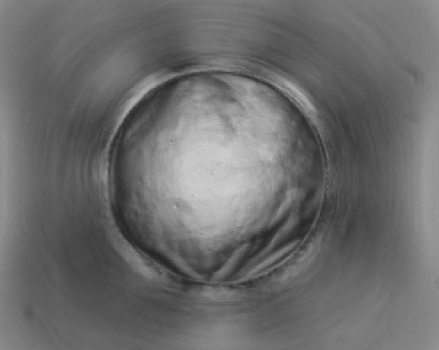 X0000114070907200910191519