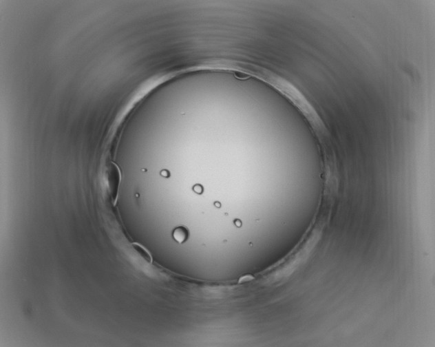 X0000114070908200910191519