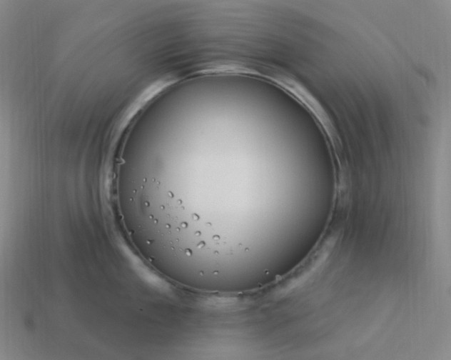 X0000114070909200910191519