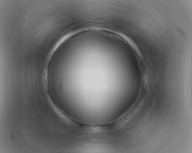 X0000114070911200910191519