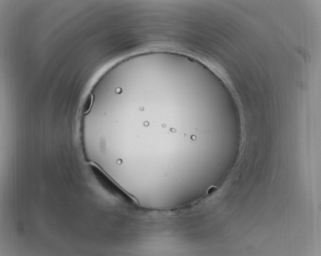 X0000114070912200910191519