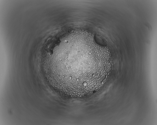 X0000114070913200910191519