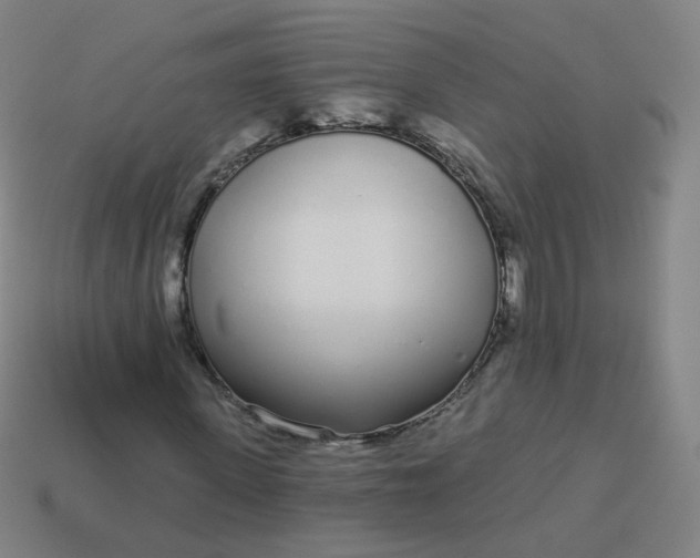 X0000114070915200910191519