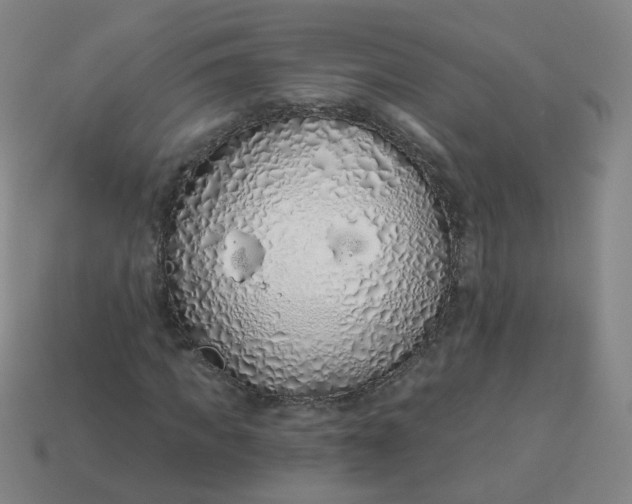 X0000114070917200910191519