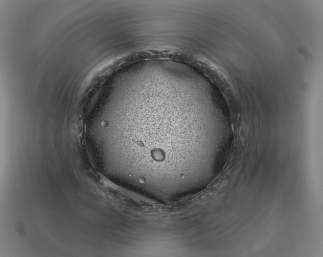 X0000114070920200910191519