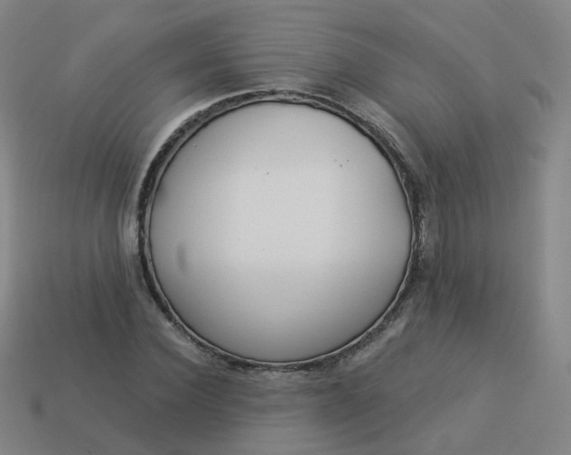 X0000114070924200910191519