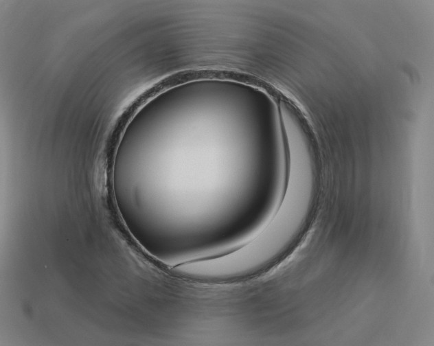 X0000114070925200910191519