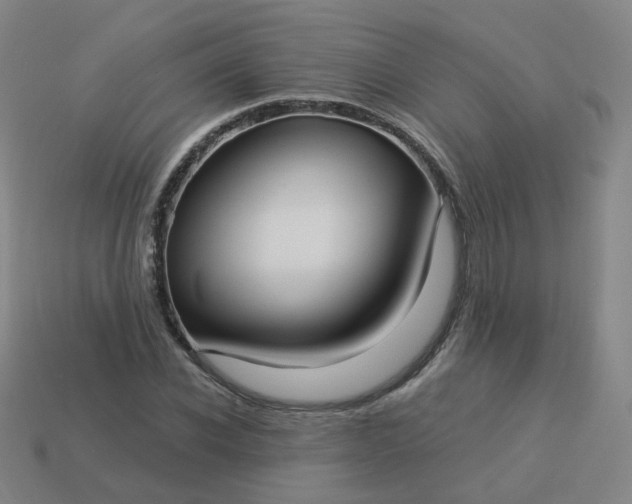 X0000114070926200910191519