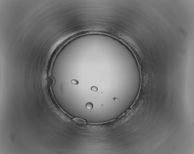 X0000114070928200910191519