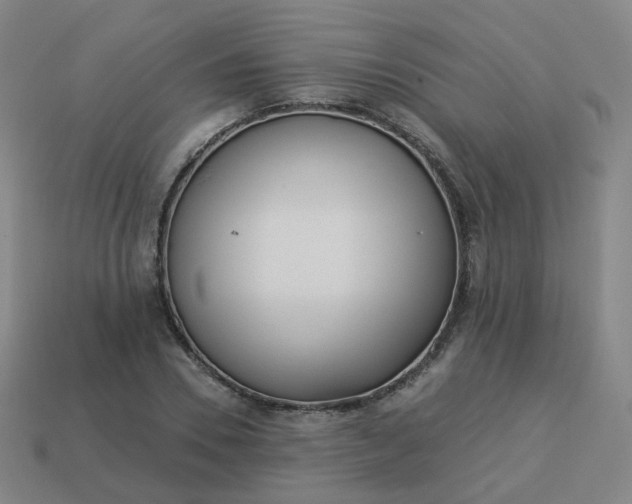 X0000114070930200910191519