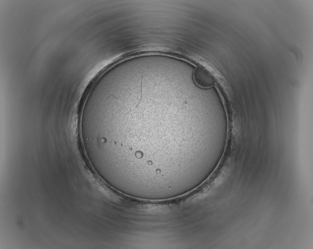 X0000114070933200910191519